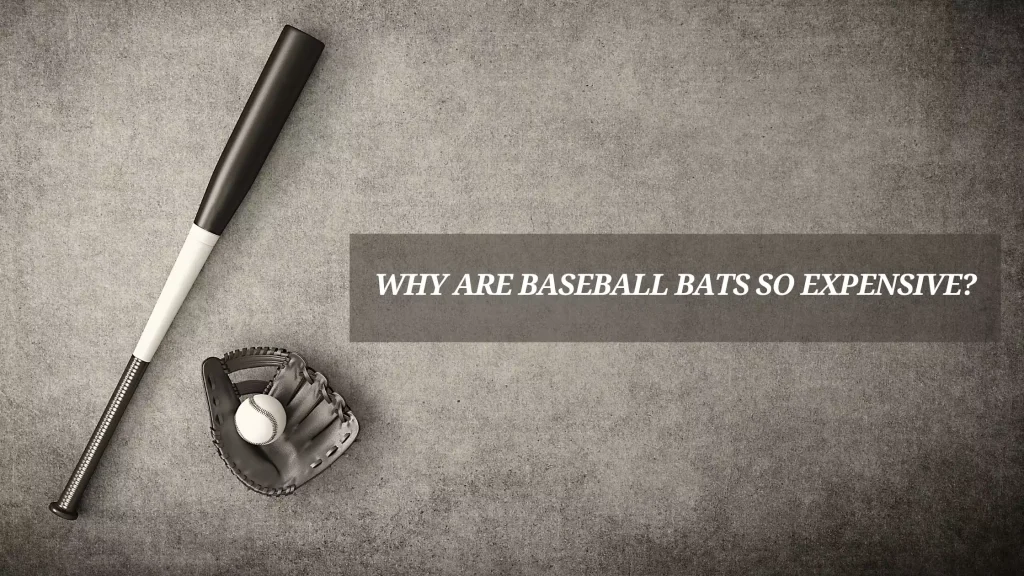 Why-Are-Baseball-Bats-So-Expensive-min